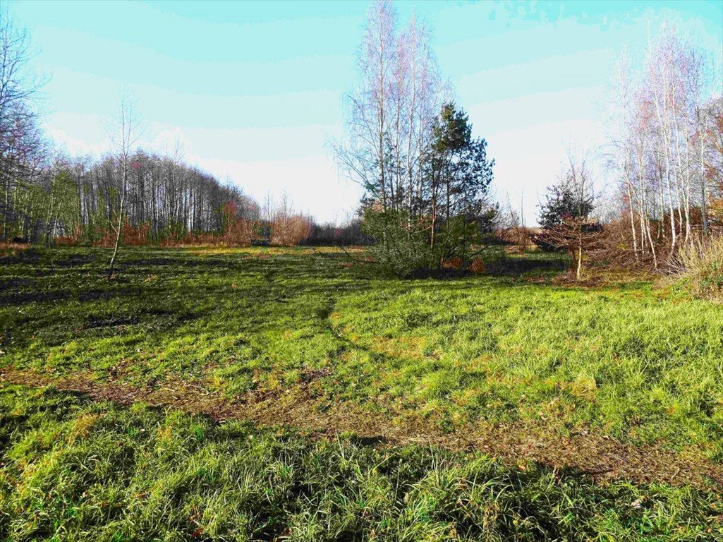 Działka budowlana na sprzedaż Poznań, Stare Miasto, Naramowice, Diamentowa  3 000m2 Foto 2