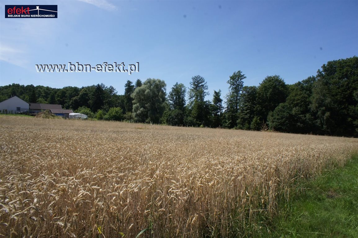 Działka inna na sprzedaż Rudzica  4 246m2 Foto 4