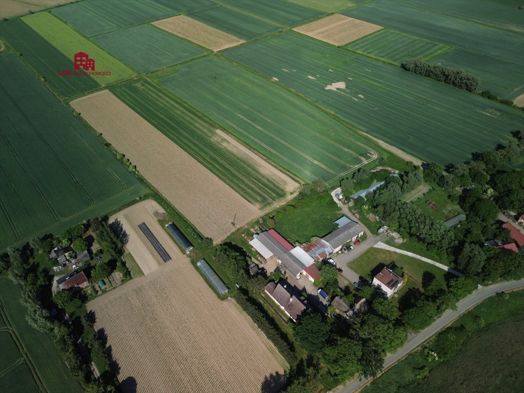 Działka siedliskowa na sprzedaż Gdańsk, Sobieszewo, Przegalińska  30 600m2 Foto 9