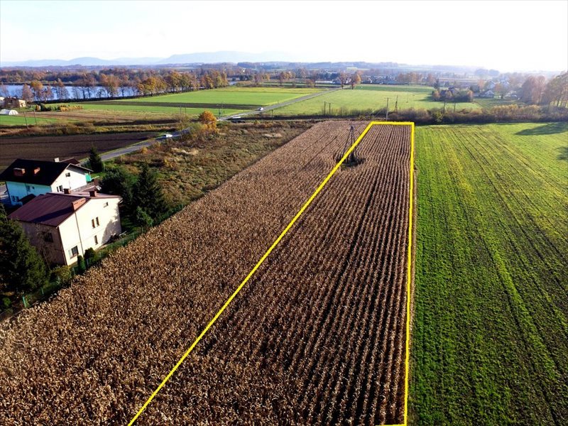 Działka budowlana na sprzedaż Dankowice, Spokojna 3 787m2 Foto 1 Działka budowlana na sprzedaż Dankowice, Spokojna 3 787m2 Foto 1