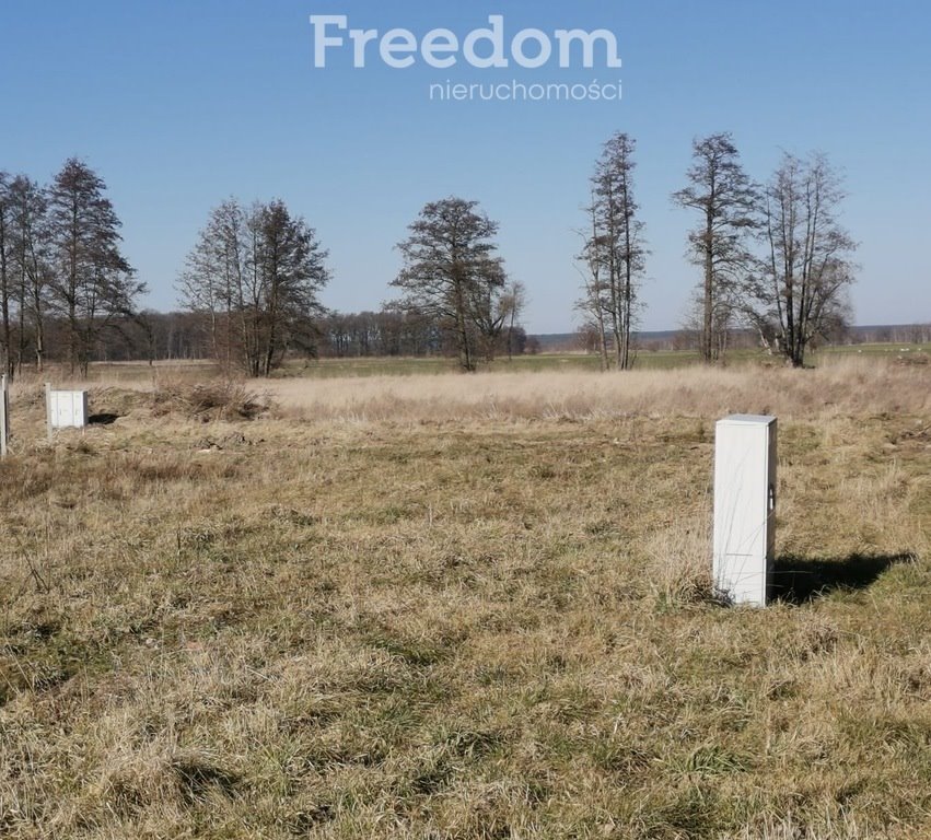 Działka budowlana na sprzedaż Niedźwiedzice  2 500m2 Foto 1