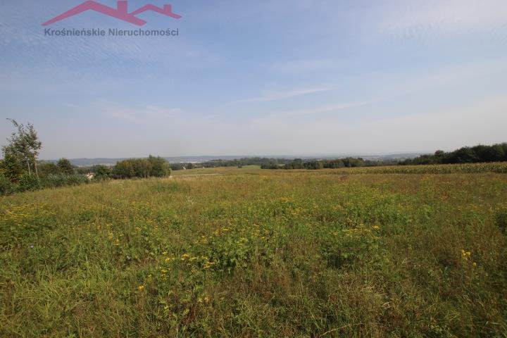 Działka inna na sprzedaż Łaski  1 248m2 Foto 8