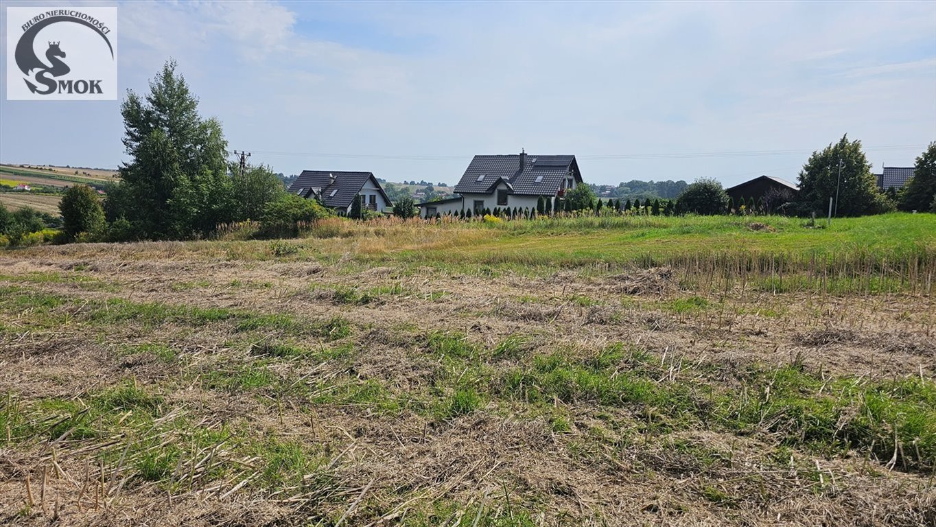 Działka budowlana na sprzedaż Cianowice Duże  4 800m2 Foto 3