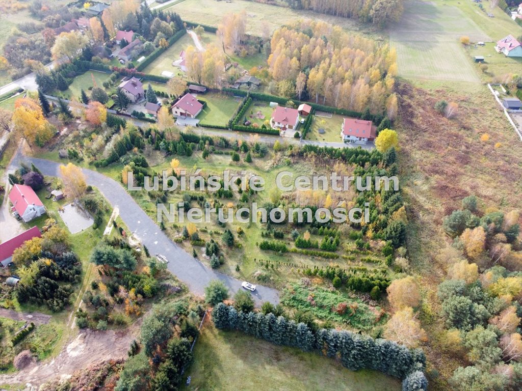 Działka inna na sprzedaż Sobin  1 600m2 Foto 9