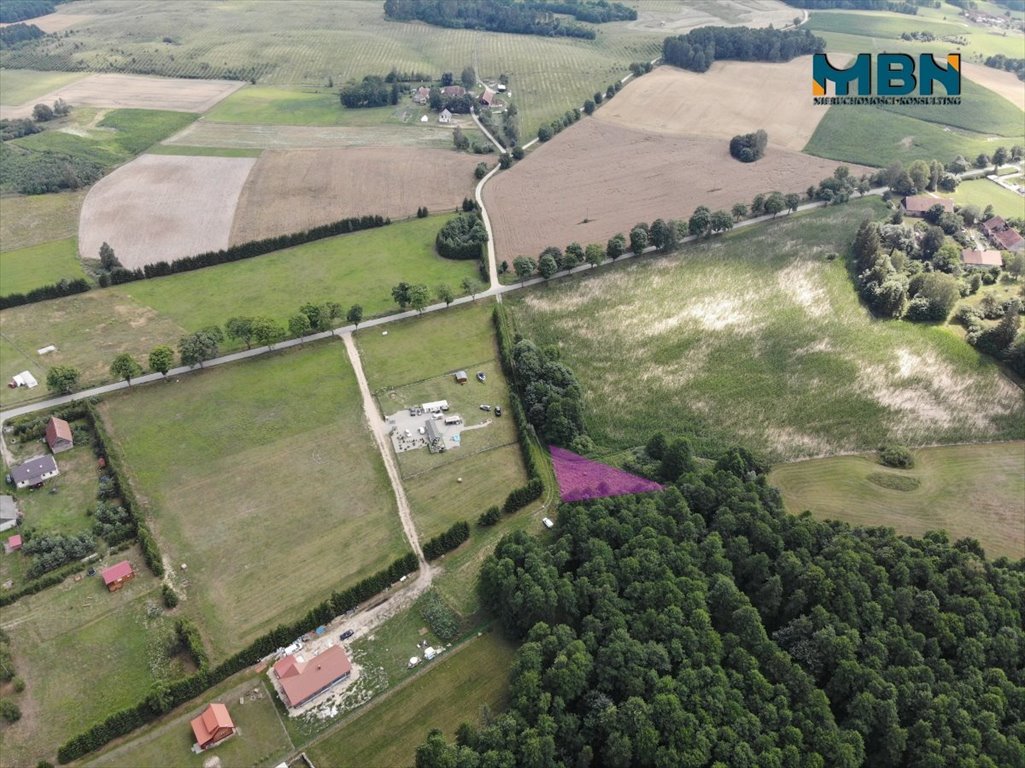 Działka rolna na sprzedaż Pozezdrze, Pieczarki  1 300m2 Foto 4