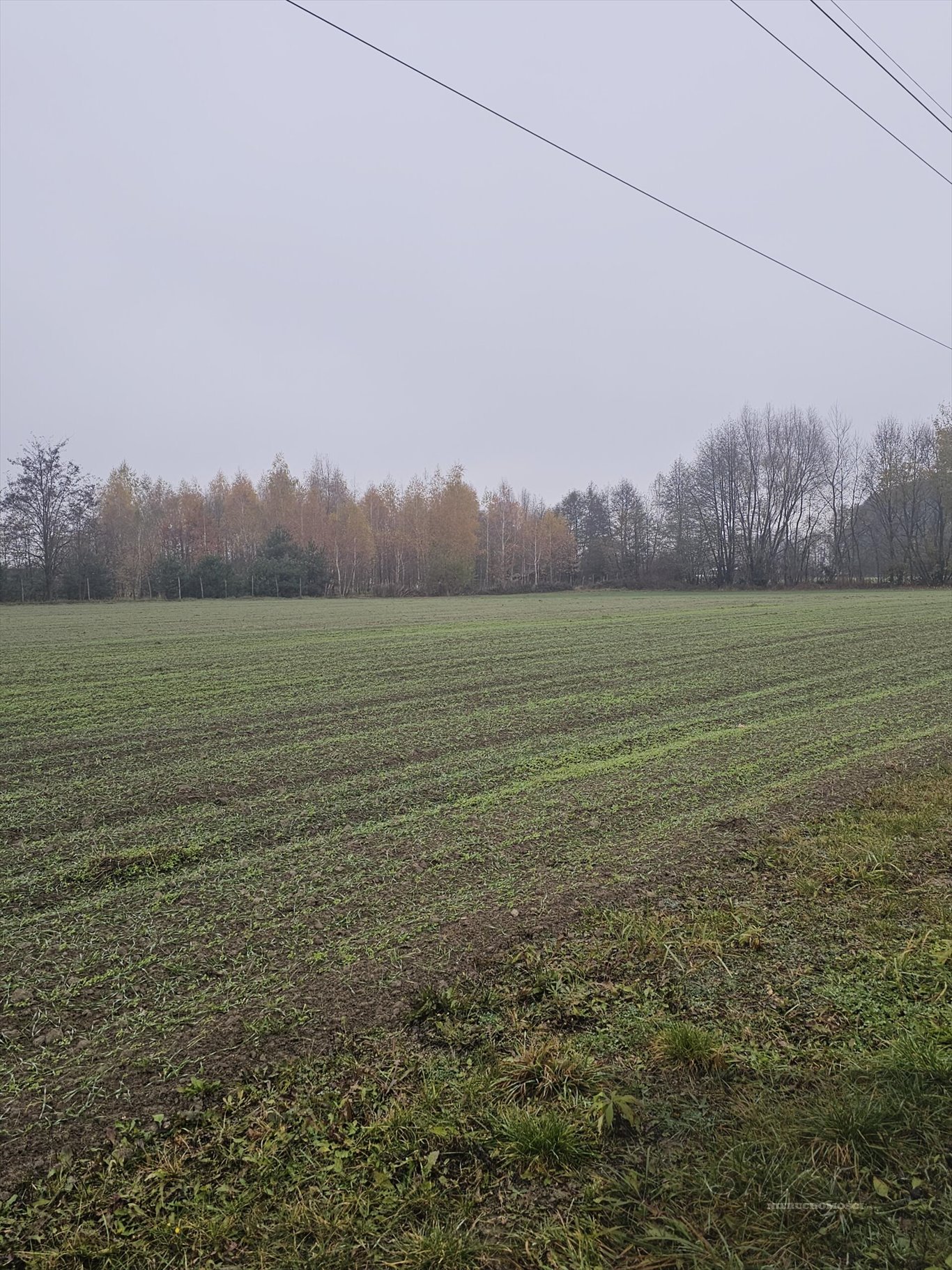 Działka budowlana na sprzedaż Władysławów  1 100m2 Foto 1