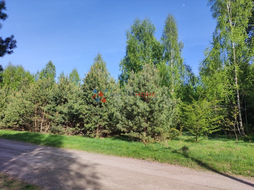 Działka 12 ha z lasem i budynkami - zapraszam Lindów  120 220m2 Foto 1