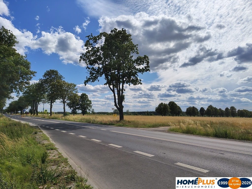 Polecam działkę 6000 m² w Gzowie z warunkami zabudowy Gzowo  6 000m2 Foto 1