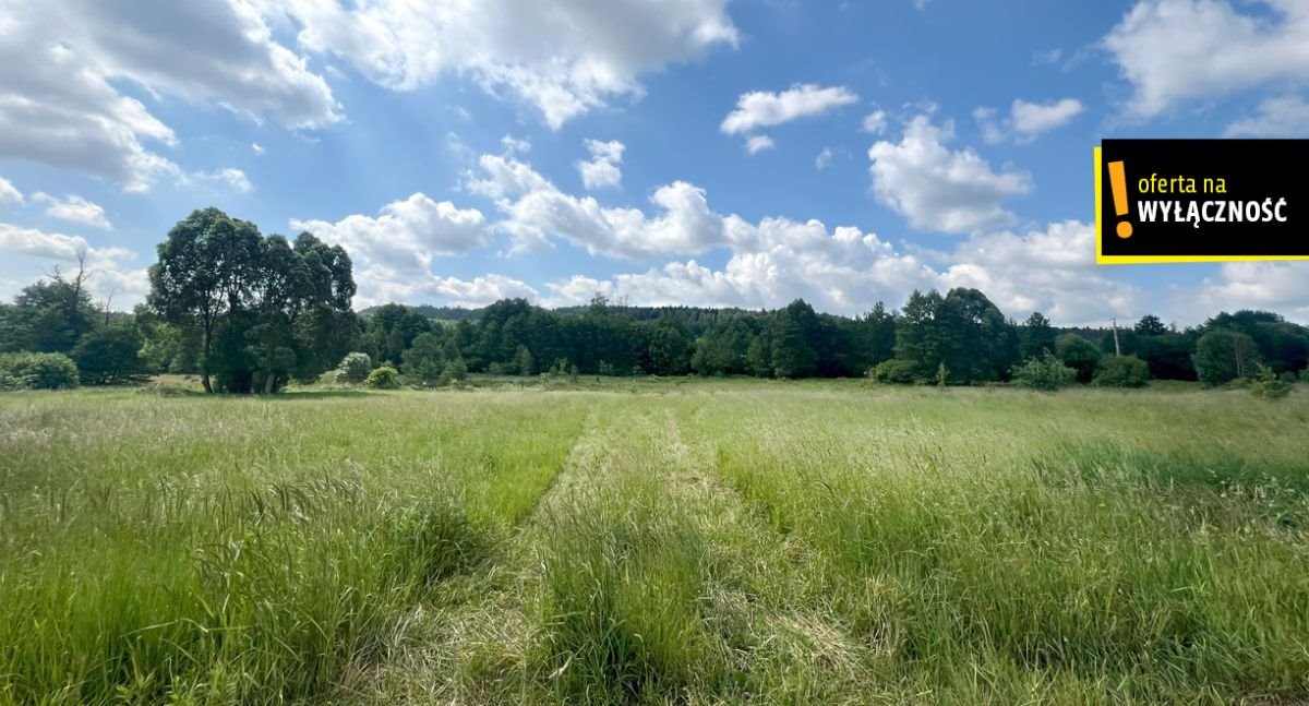 Działka budowlana na sprzedaż Kajetanów  1 800m2 Foto 4