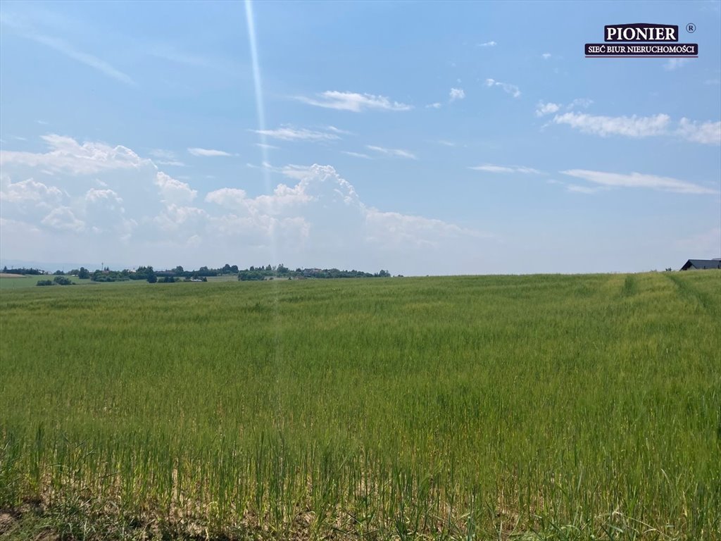 Działka rolna na sprzedaż Zamarski  70 000m2 Foto 8