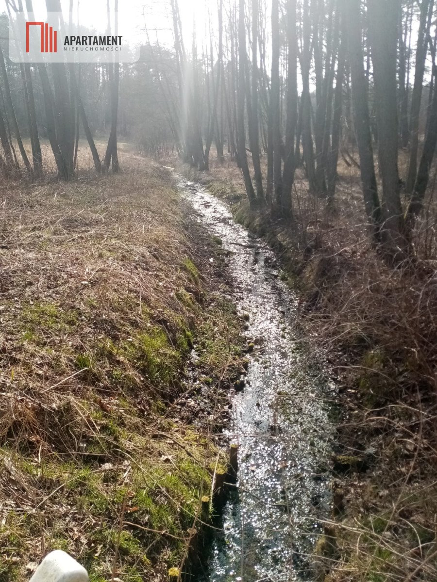 Działka gospodarstwo rolne na sprzedaż Zawada  6 600m2 Foto 9