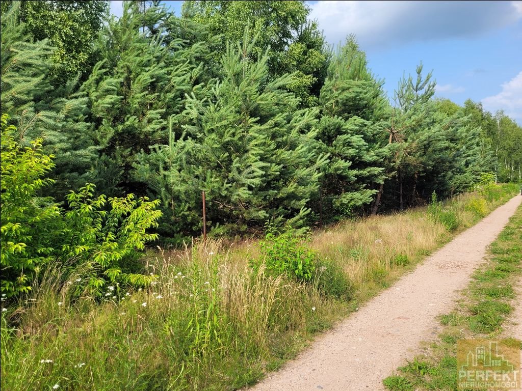 Działka budowlana na sprzedaż Żelechów, Żelechów, Zgodna  1 253m2 Foto 5