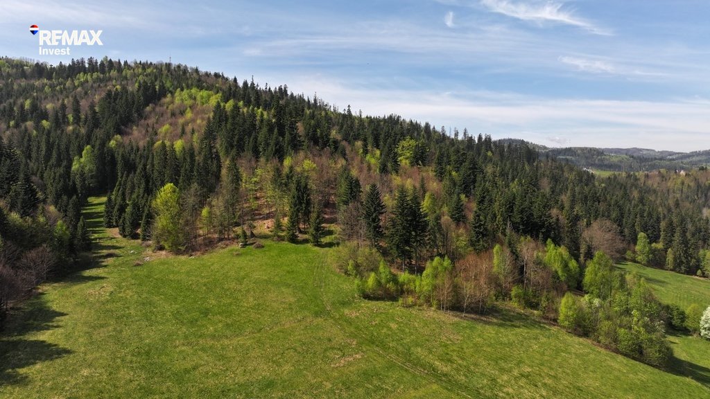 Działka leśna 9506 m² w Wiśle - zapraszam: Wisła: Sportowa