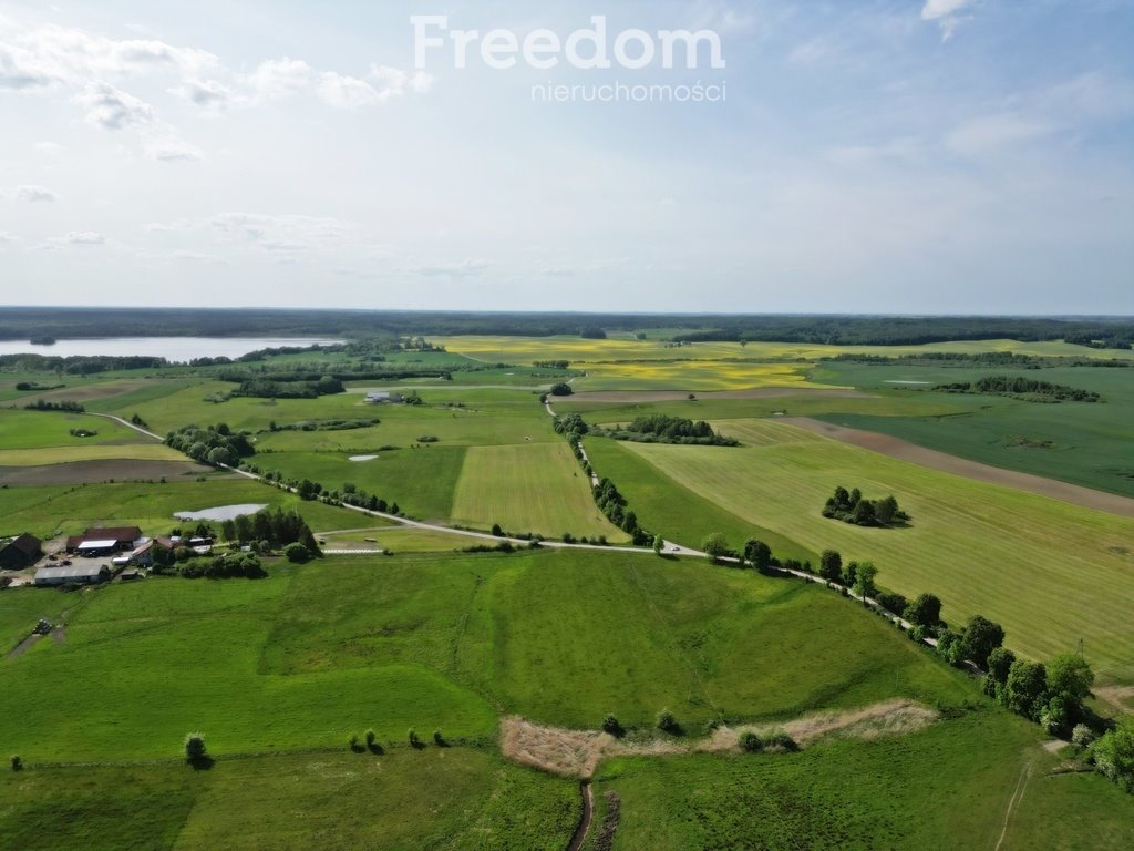 Działka inna na sprzedaż Dobrzyki  3 004m2 Foto 2