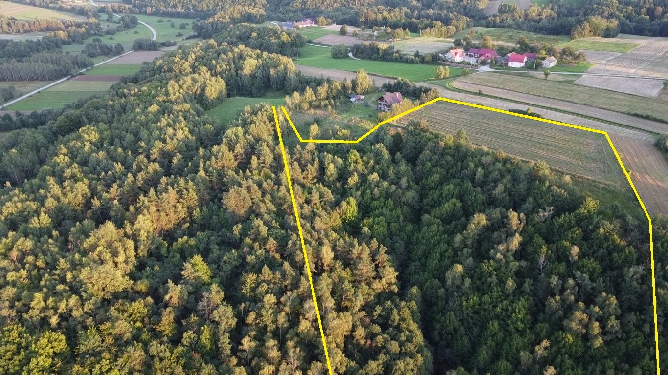 Działka siedliskowa na sprzedaż Melonek  41 400m2 Foto 13