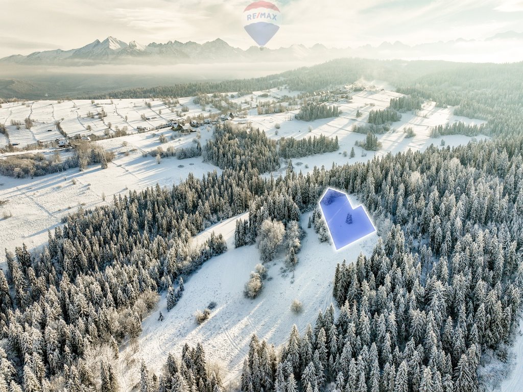 Działka rolna na sprzedaż Bukowina Tatrzańska  7 839m2 Foto 9