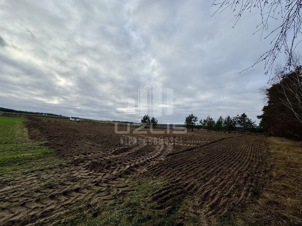 Działka inna na sprzedaż Przytarnia  1 570m2 Foto 12