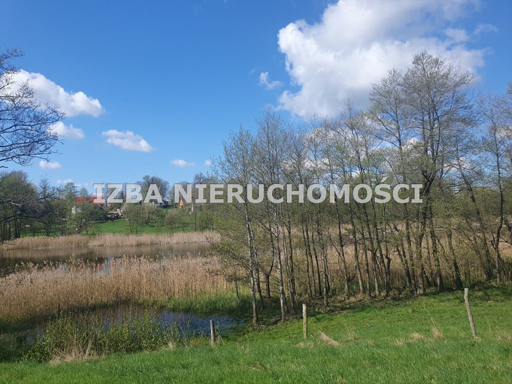 Działka rekreacyjna na sprzedaż Grabnik  3 000m2 Foto 8