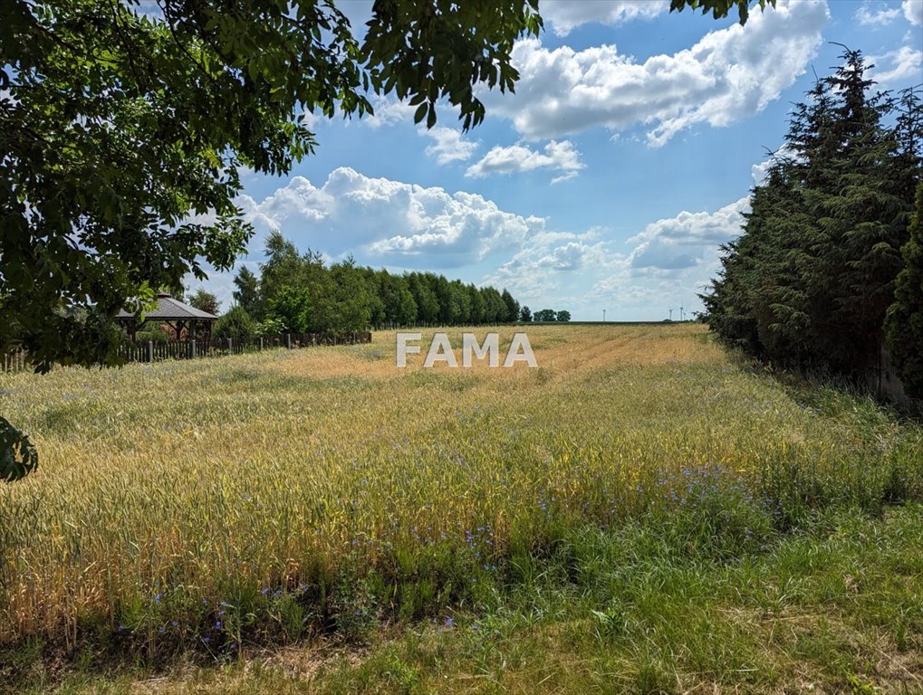 Działka budowlana na sprzedaż Dobrzyń nad Wisłą, Chalin  1 450m2 Foto 3