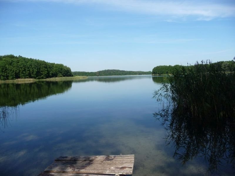 Działka budowlana na sprzedaż Pszczew, Silna  1 502m2 Foto 6