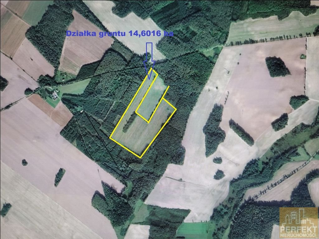 Działka rolna na sprzedaż Kamionki, W Otulinie Lasów, Kamionki  146 016m2 Foto 5