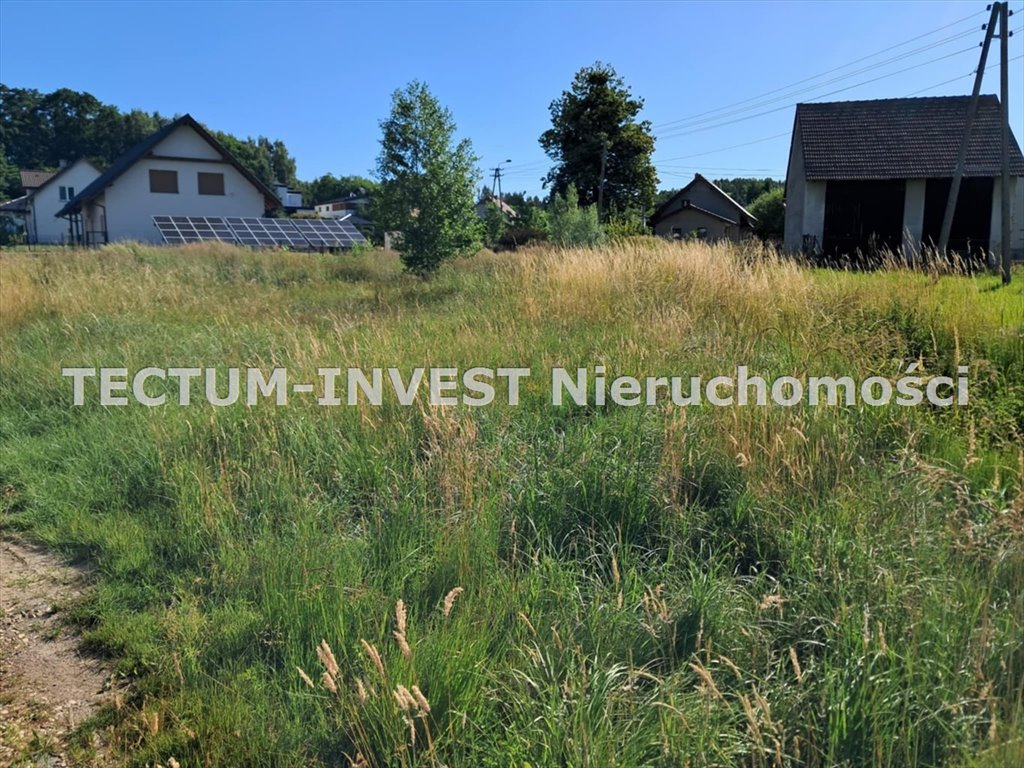 Działka inna na sprzedaż Wodzisław Śląski, Turzyczka  1 000m2 Foto 1