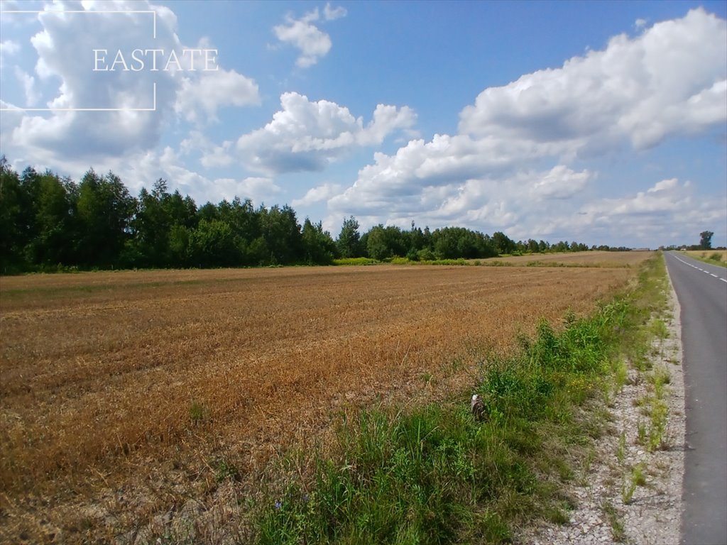 Działka budowlana na sprzedaż Krze Duże  5 700m2 Foto 2