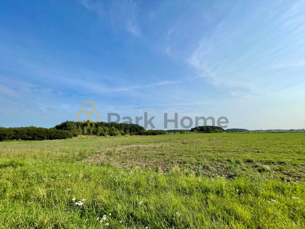 Działka budowlana na sprzedaż Klucze  1 291m2 Foto 1