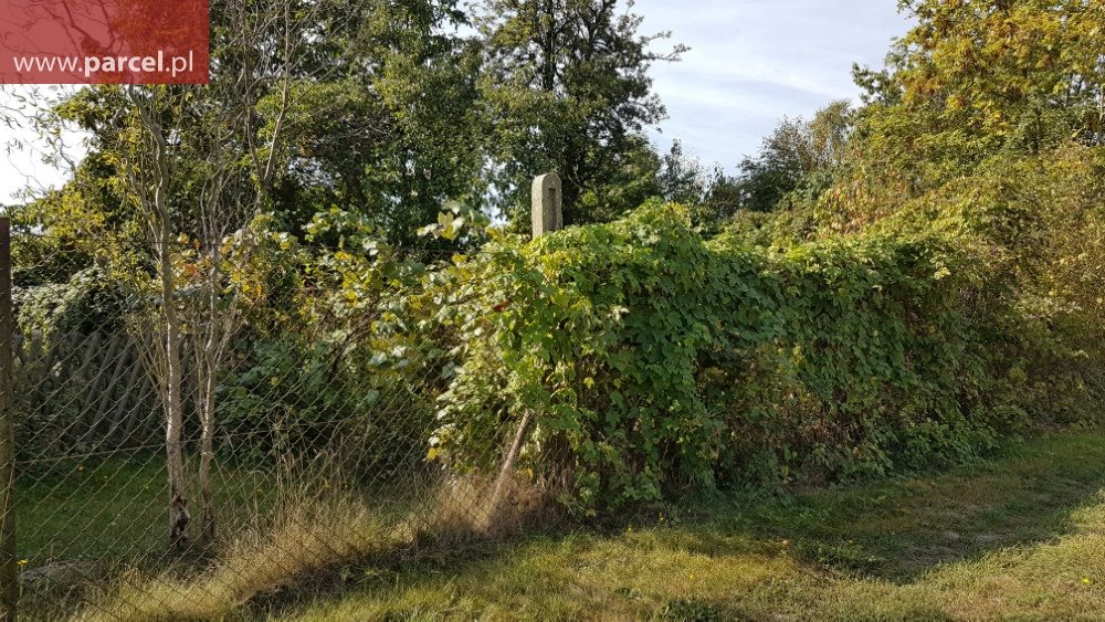 Działka budowlana na sprzedaż Biskupice 5 891m2 Foto 1 Działka budowlana na sprzedaż Biskupice 5 891m2 Foto 1