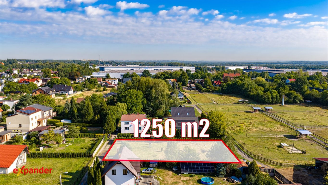 Zdjęcie 6