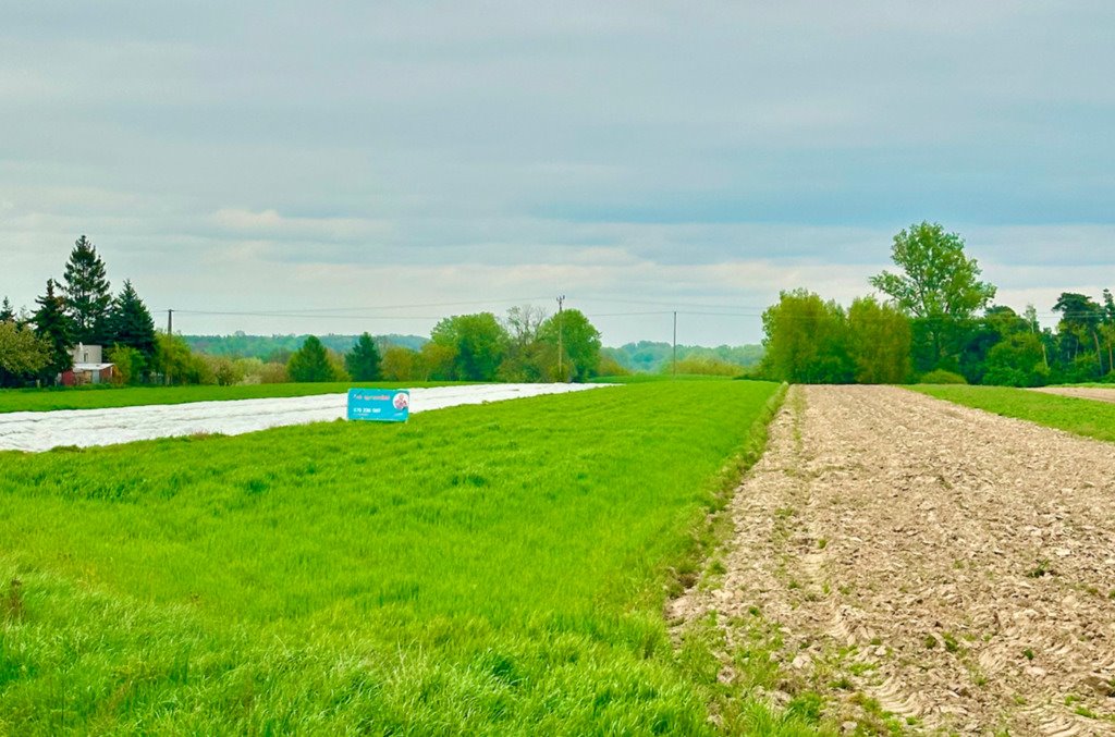 Działka budowlana na sprzedaż Wyszogród  11 748m2 Foto 3