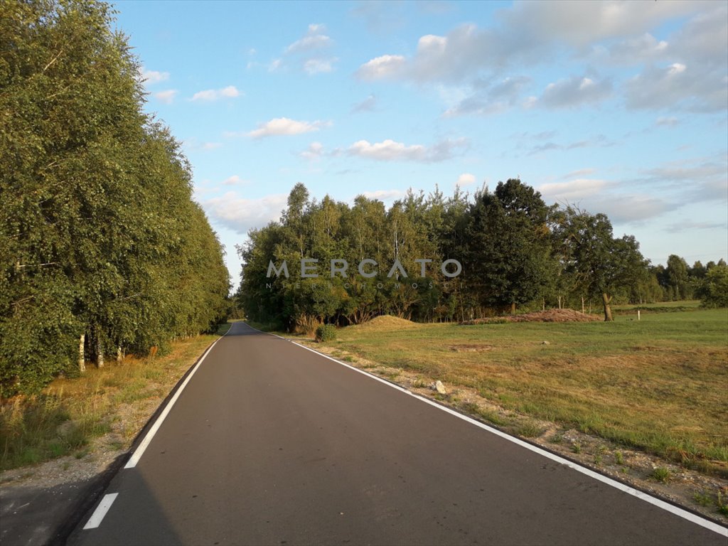 Działka budowlana na sprzedaż Pupkowizna  1 000m2 Foto 6