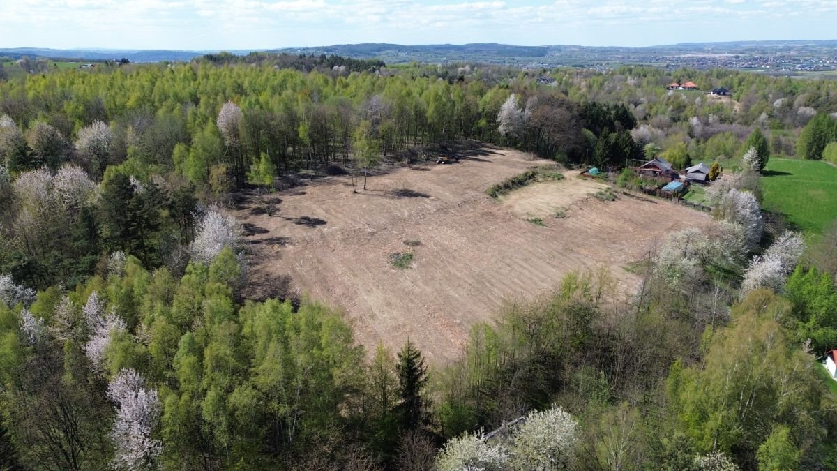 Widokowa działka 149 ar z mediami - cisza i panorama Rzeszów, Podleśna  14 900m2 Foto 1