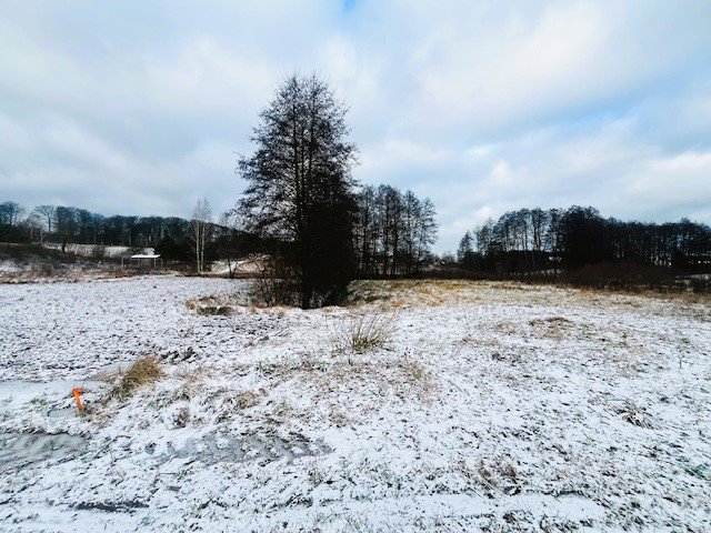 Działka budowlana na sprzedaż Charzykowy, Droga pod Strzechę  1 400m2 Foto 11