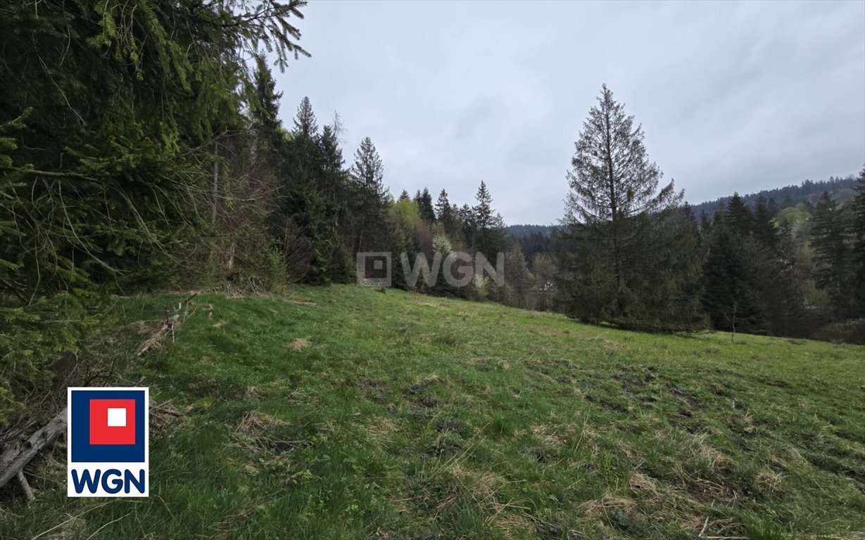 Działka budowlana na sprzedaż Wisła, Głębce  6 599m2 Foto 12