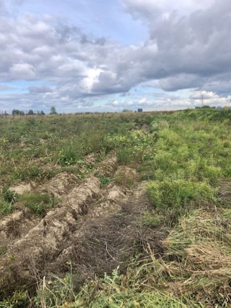 Działka przemysłowo-handlowa na sprzedaż Suchy Las, Suchy Las  4 875m2 Foto 3