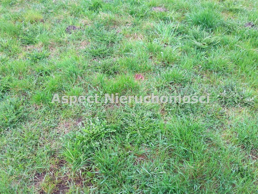 Działka inna na sprzedaż Żory, Baranowice 1 080m2 Foto 1 Działka inna na sprzedaż Żory, Baranowice 1 080m2 Foto 1