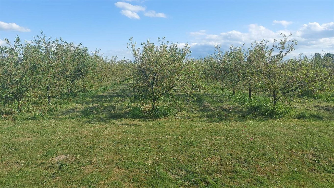 Działka inna na sprzedaż Strzebieszew  18 200m2 Foto 1