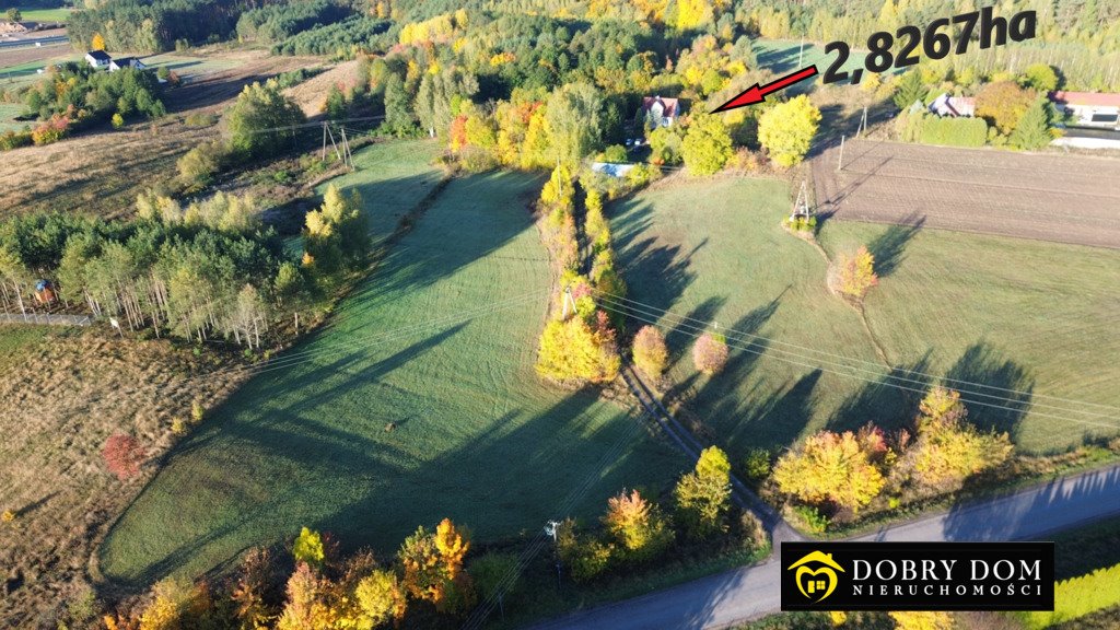 Urokliwe siedlisko 80 m² na 3 ha, blisko Białegostoku Krynice  80m2 Foto 1