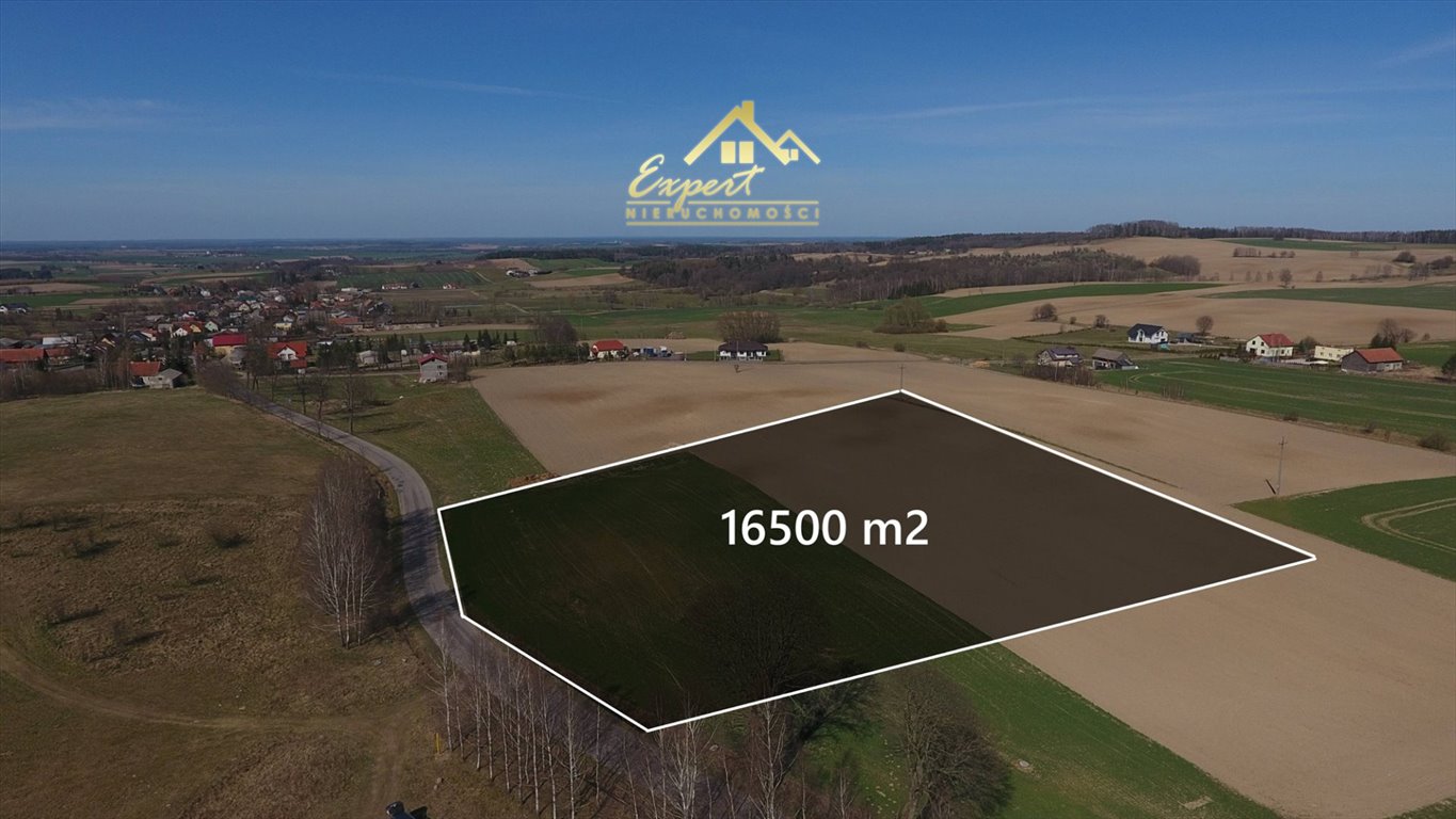 Działka 1,65 ha z mediami i warunkami zabudowy (Pietrzwałd) Pietrzwałd  16 500m2 Foto 1