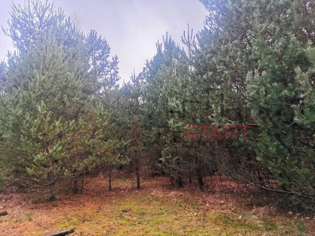 Działka budowlana na sprzedaż Osowiec  999m2 Foto 2