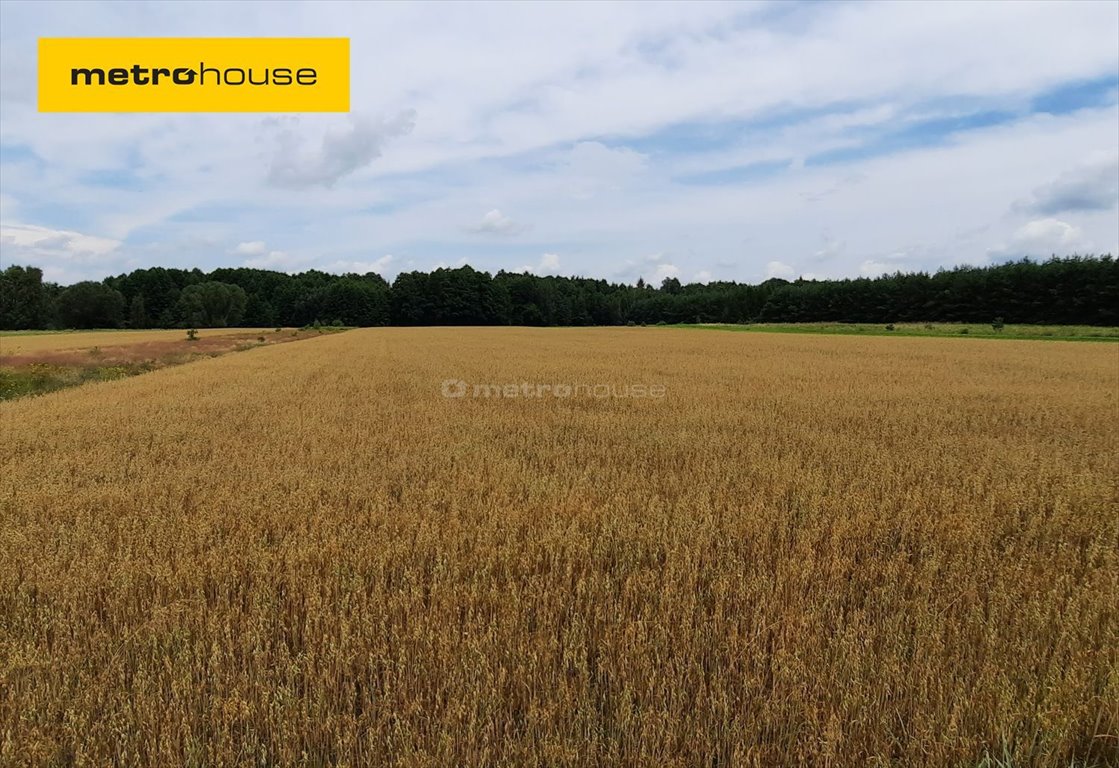 Działka rolna na sprzedaż Żeliszew Podkościelny  14 313m2 Foto 1