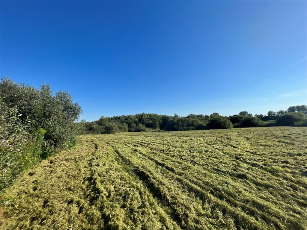 Działka rolna na sprzedaż Siedliszcze  74 700m2 Foto 4