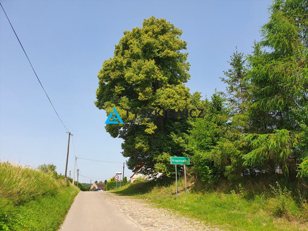 Działka 3390 m² w malowniczej Krępkowicach z warunkami zabudowy Krępkowice  3 390m2 Foto 1