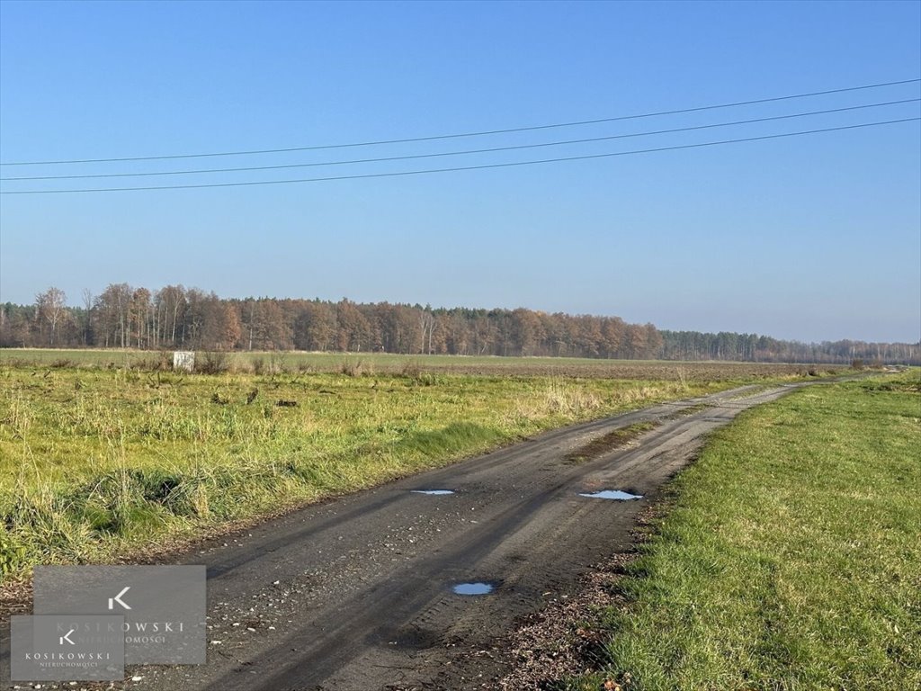 Działka inna na sprzedaż gmina Świerczów  1 200m2 Foto 3