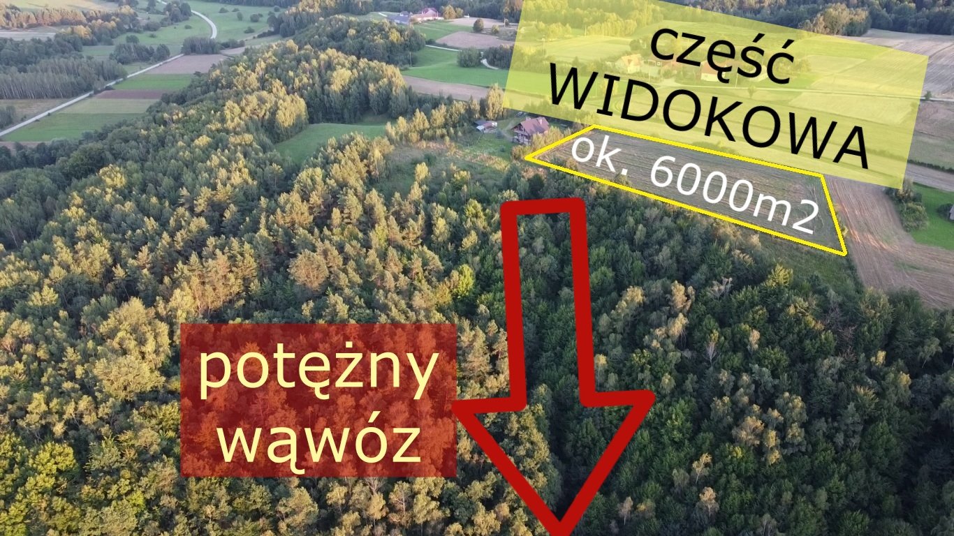 Działka siedliskowa na sprzedaż Melonek  41 400m2 Foto 4