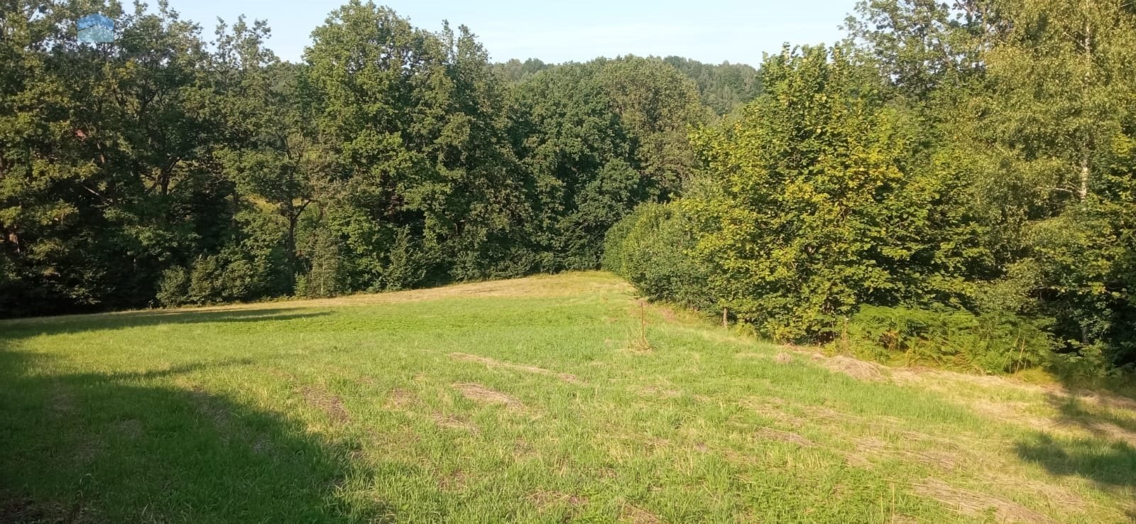 Działka budowlano-rolna 25a w Konarach z lasem i dostępem do mediów Konary  2 500m2 Foto 1