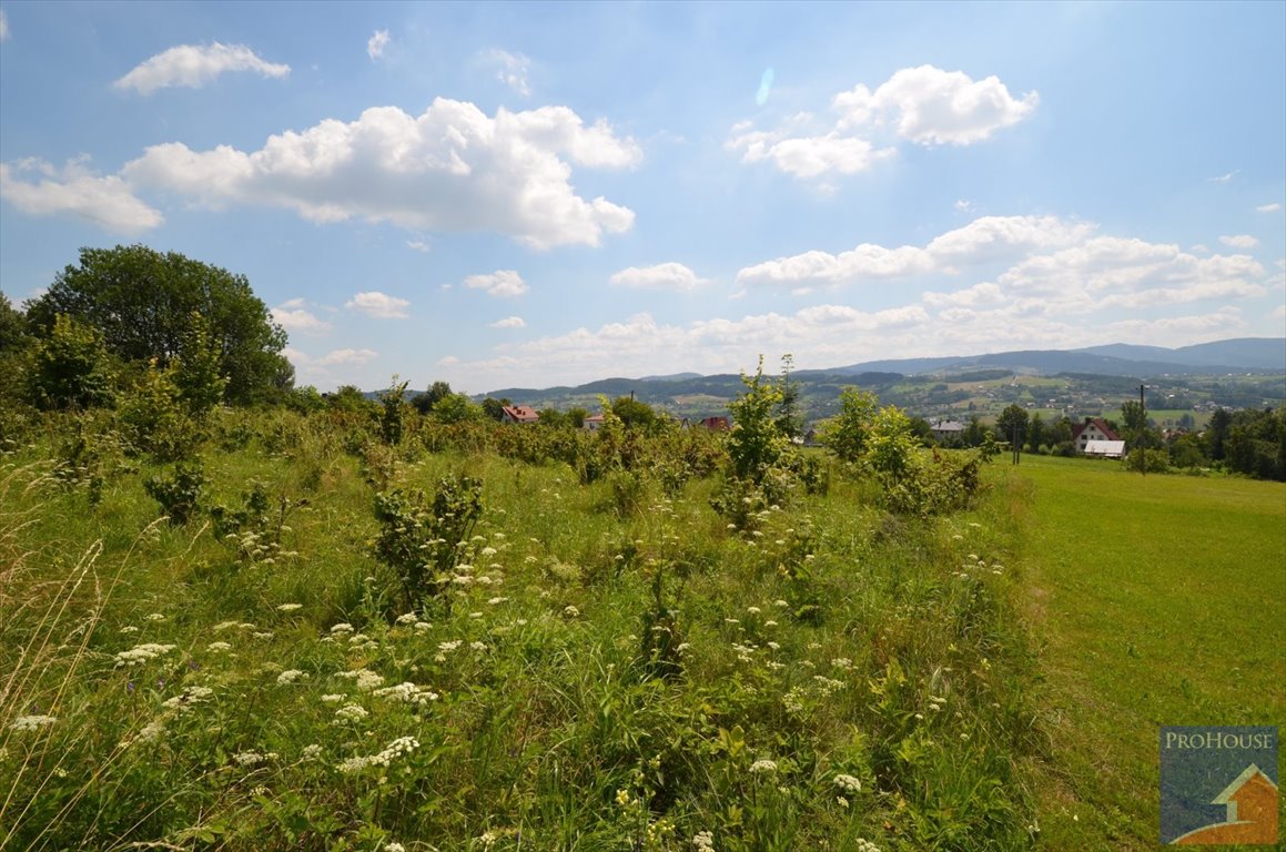 Działka budowlana na sprzedaż Limanowa  1 216m2 Foto 11