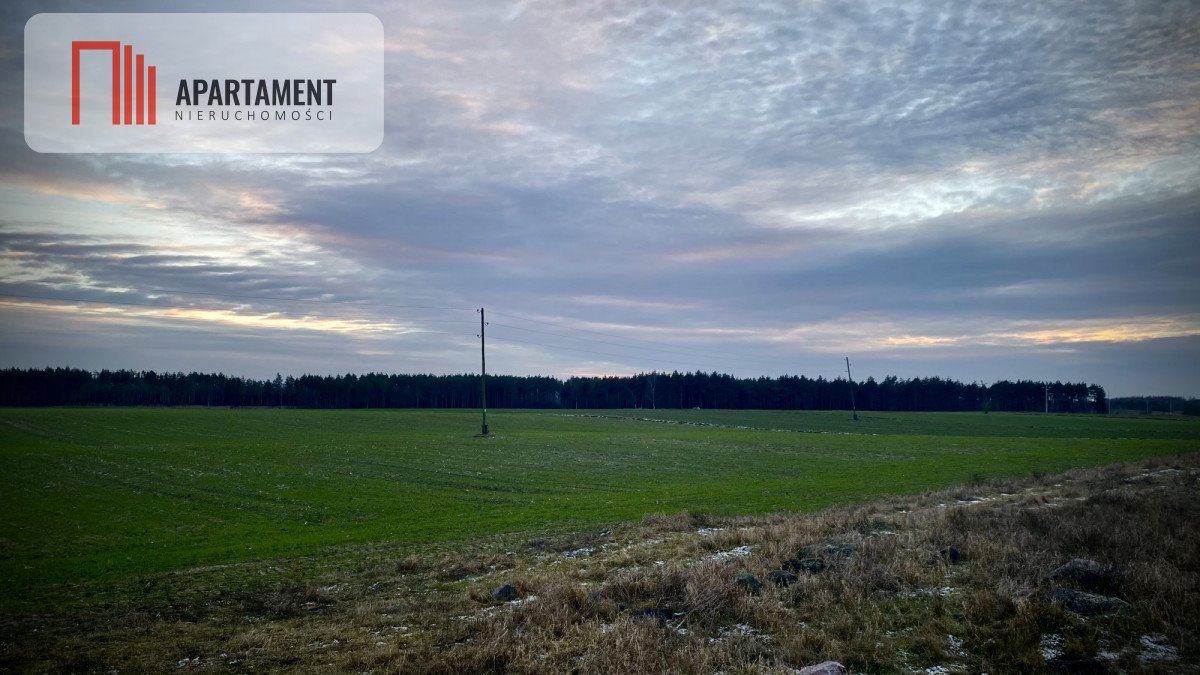 Działka gospodarstwo rolne na sprzedaż Józefkowo  38 243m2 Foto 1