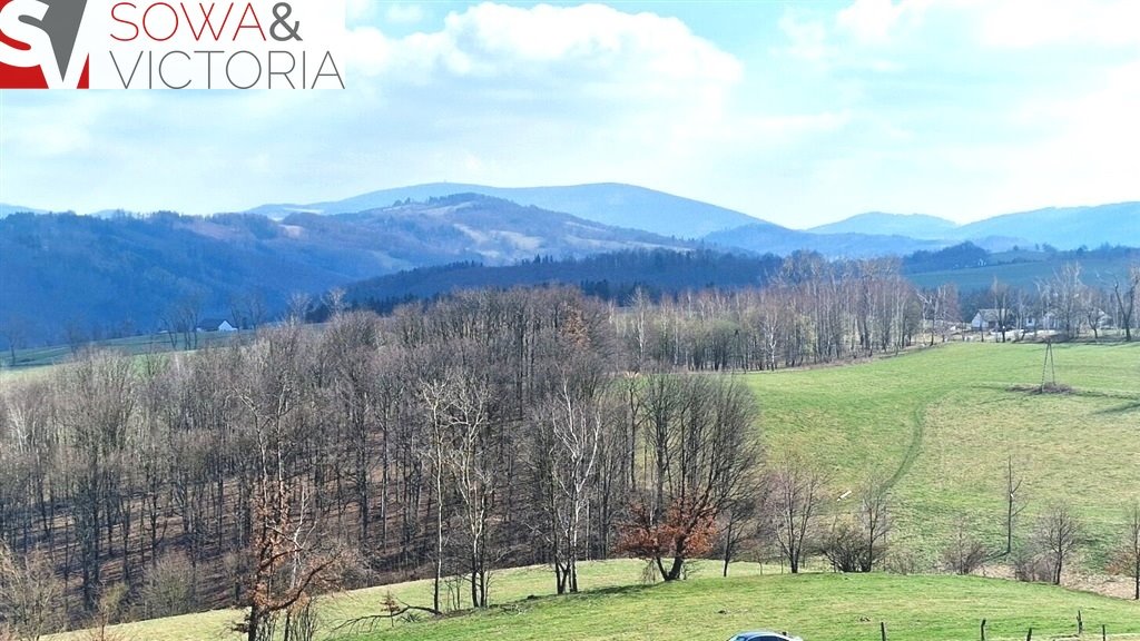 Działka budowlana na sprzedaż Zagórze Śląskie  2 100m2 Foto 8